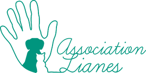 Association Lianes