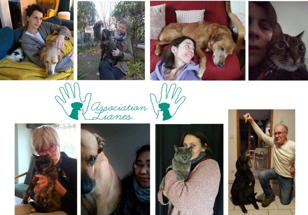 Tronch'binoscopeLIANES